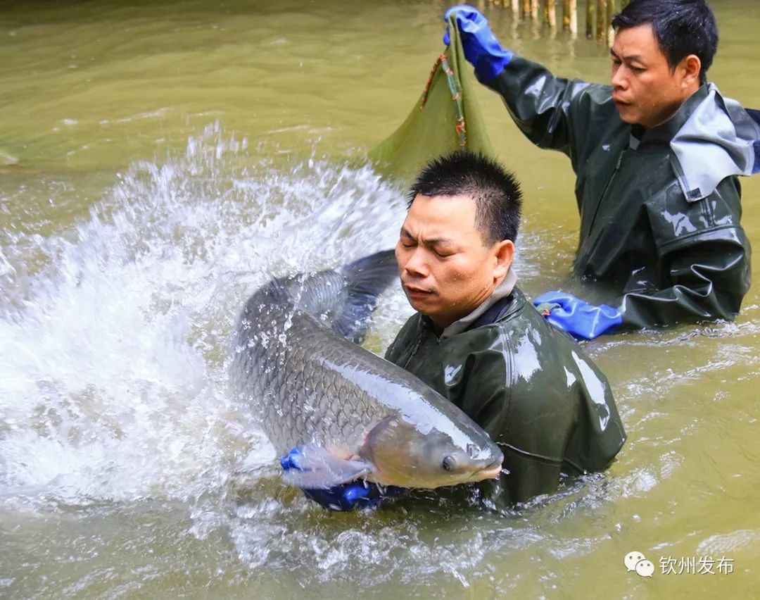 这里是浦北！