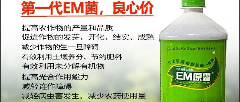 EM技术让贵州小伙弯道超车（与小编四年聊天纪录节选）-微生态农业网