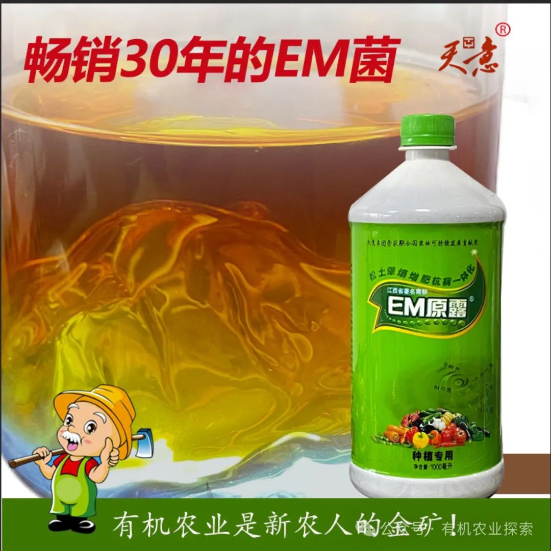 EM技术就是养一群有正能量的微生物替我们干活-微生态农业网